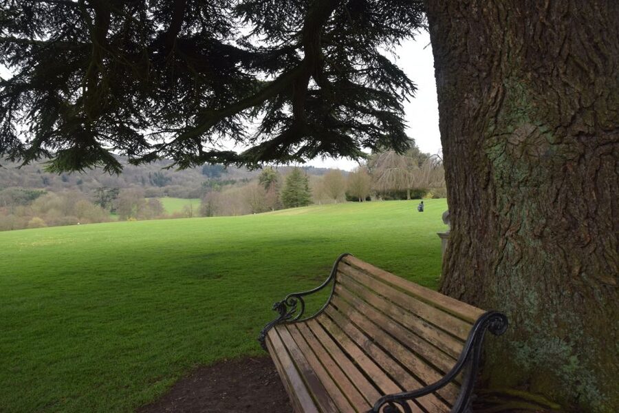 Downton Abbey and Village Small Group Tour from London - Should you book Downton Abbey and Village Small Group Tour from London?