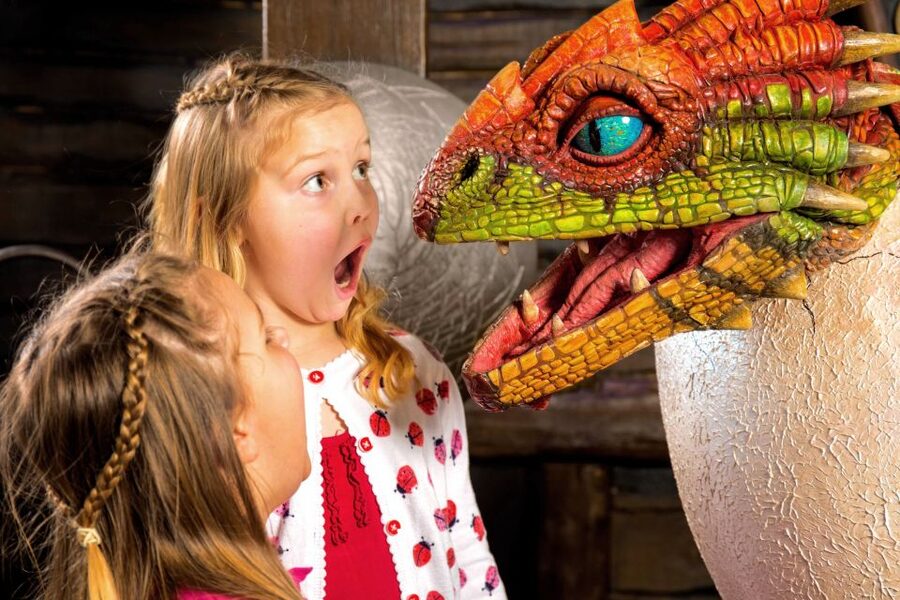 DreamWorks Shrek's Adventure and London Eye: Combo Ticket - Who Should Book This Combo Ticket