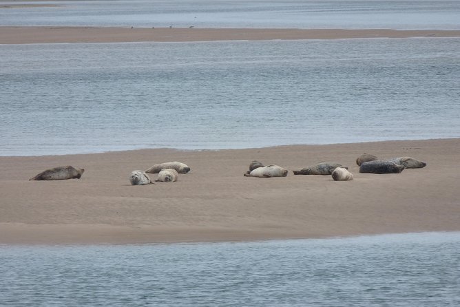 Dunrobin Castle and Glenmorangie Distillery - Local Private Tour - Loch Fleet National Nature Reserve: Seals, Otters, and a Possible Osprey