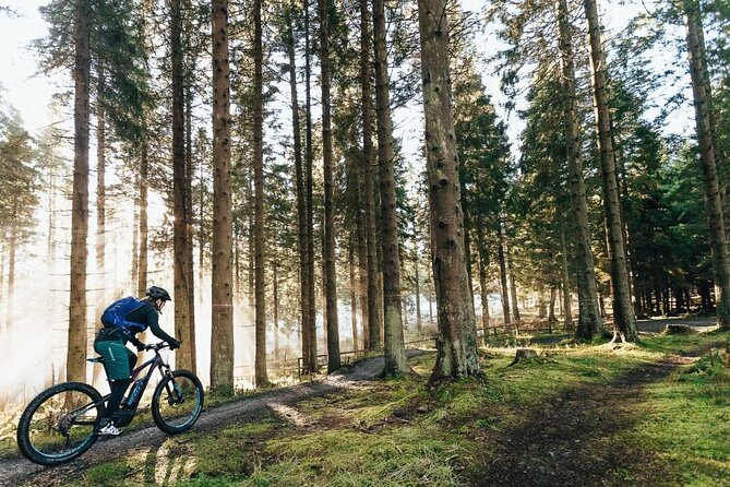 E-bike excursion exploring the Purbecks - Key highlights that make this e-bike day work