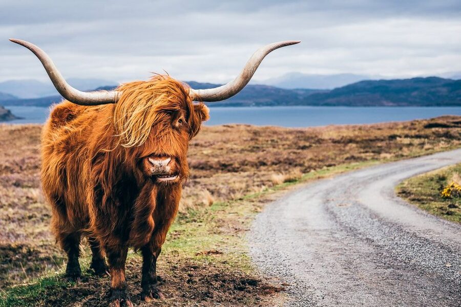 Edinburgh: 3-Day Isle of Skye, Highlands, and Loch Ness Tour - Luss to Portree: A Gentle Start Before the Wild Roads