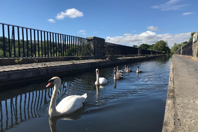 Edinburgh City Bike Tour - Choice of E-Bike or Manual - Leith on two wheels: working-class maritime vibes without the trend-chasing