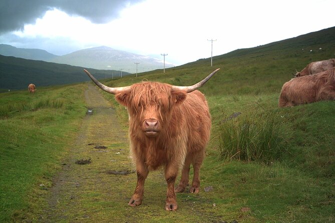 Edinburgh: Private Loch Ness Glencoe and The Highlands Tour - Scottish Highlands drive: where the best value is often the time between stops