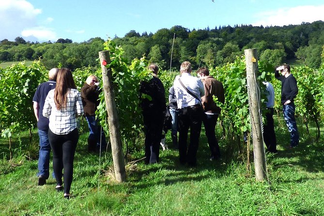 English Wine and Cheese Tour from London - Picnic Lunch at Chapel Down, Served With Wine