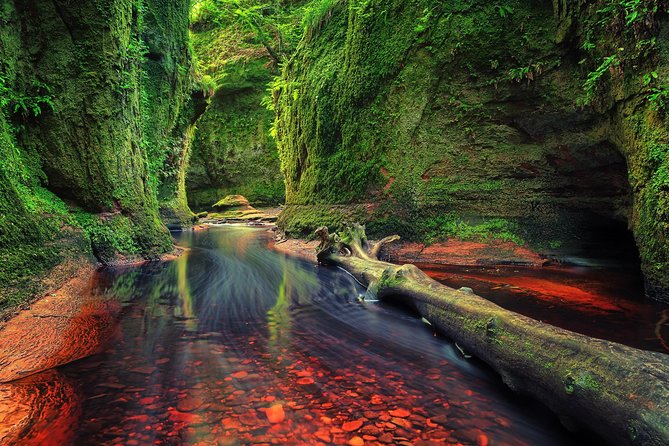 Find a hidden Glen in Scotland's woods - Key things to know before you go