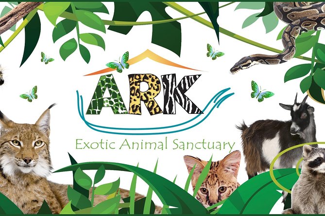 Fox Encounter for 2 people and park entry - What the private red fox encounter is really like