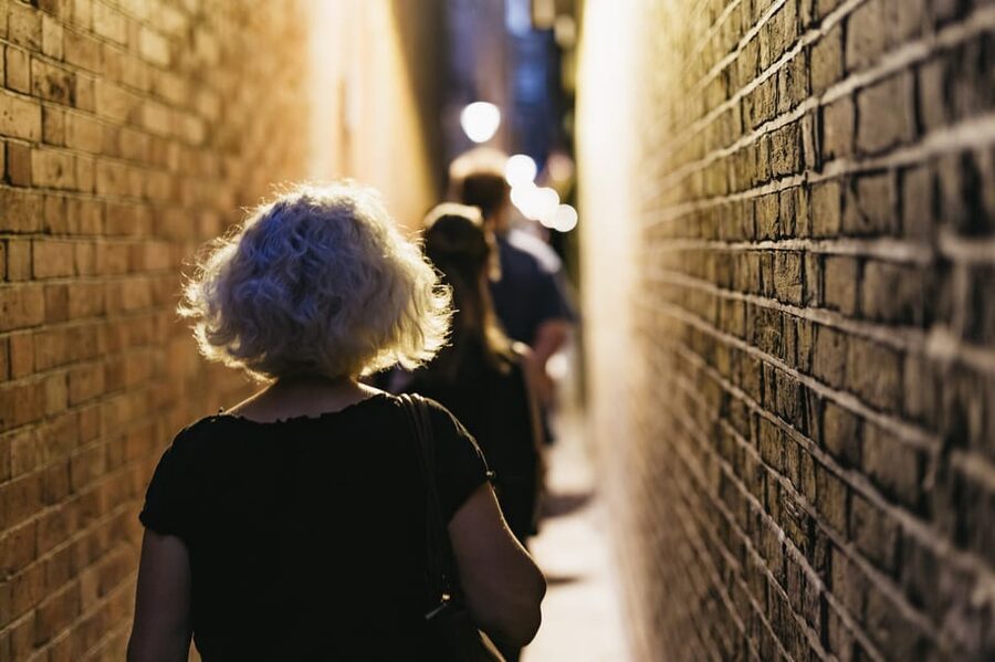 French Language: Original Harry Potter Walking Tour - Whitehall and Great Scotland Yard: the “London reality check”