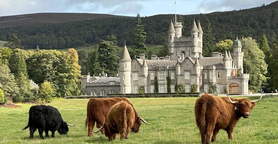From Aberdeen: Balmoral Estate & Royal Deeside Tour - Cambus o’ May Suspension Bridge: quick, scenic, and useful for nature walks