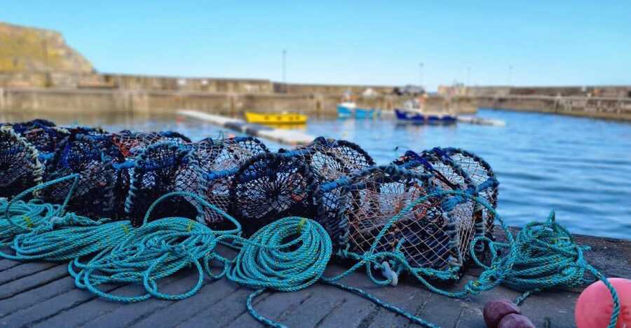 From Aberdeen: Coastal Villages of Aberdeenshire Tour - Pennan: Local Hero Fame and a Quiet Pebble-Bed Beach
