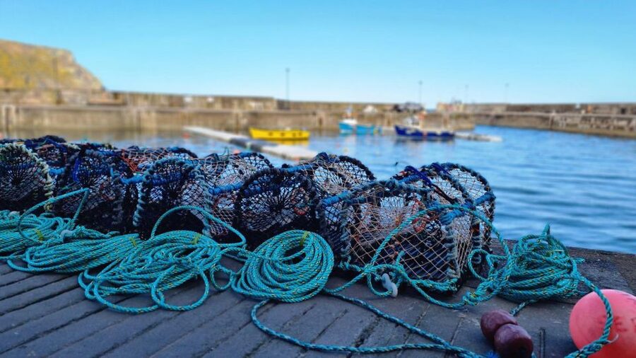 From Aberdeen: Coastal Villages of Aberdeenshire Tour - Who This Tour Fits Best (And Who Should Skip It)