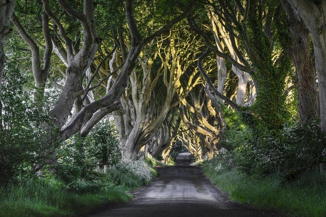 From Belfast-Giants Causeway, Dunluce Castle and Dark Hedges tour - Key points before you go