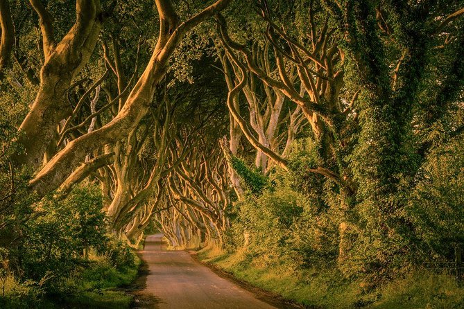 From Belfast-Giants Causeway, Dunluce Castle and Dark Hedges tour - Lunch, snacks, and what to pack for the day