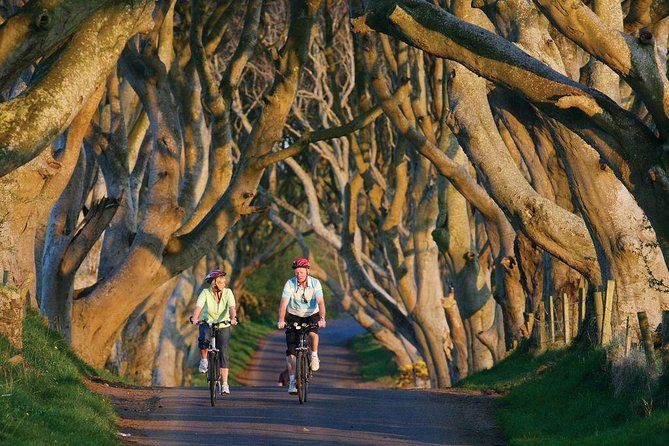 From Belfast-Giants Causeway, Dunluce Castle and Dark Hedges tour - Timing matters: why the itinerary feels like a sprint, but not a disaster