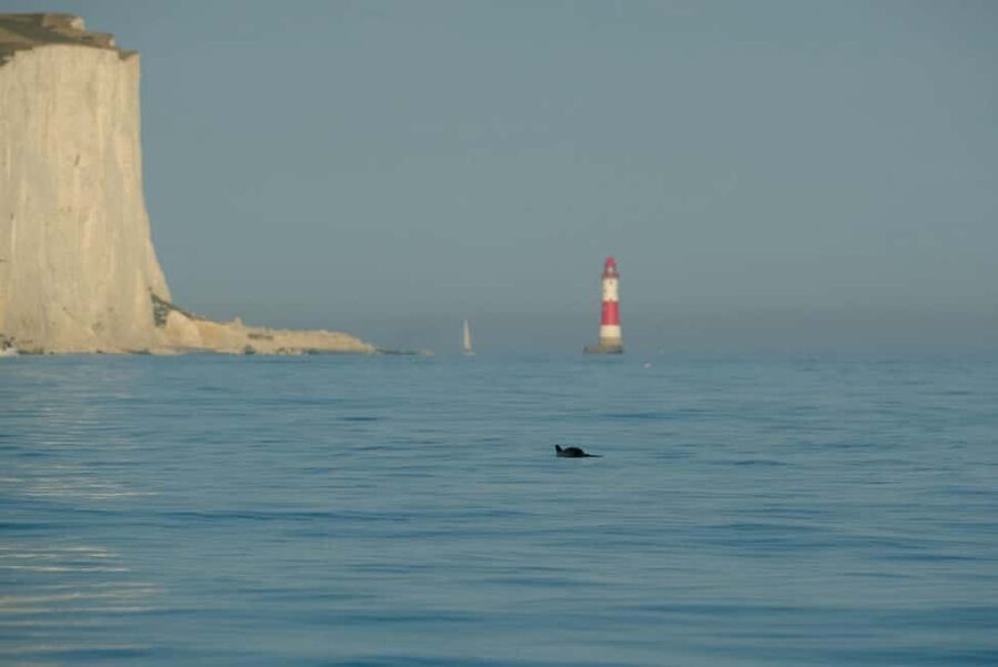 From Brighton: Seven Sisters Boat Tour - Smuggling tales and local backstory you can feel