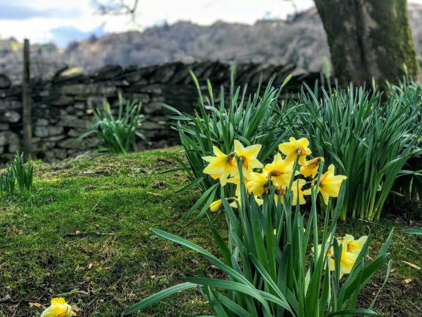 From Chester: Lake District Full-Day Guided Sightseeing Tour - Windermere first views: Bowness-on-Windermere and the cruise to Ambleside