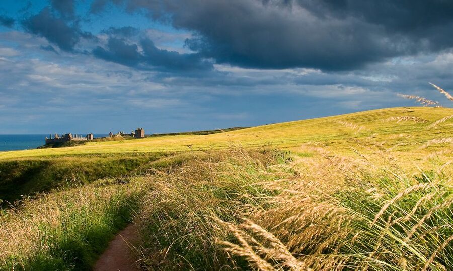 From Edinburgh: Glamis and Dunnottar Castles Tour in Spanish - Who should book this Spanish castles tour, and who should skip it