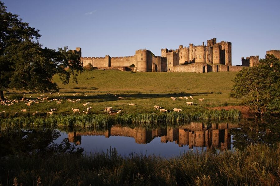 From Edinburgh: Holy Island, Alnwick Castle & Northumbria - Holy Island of Lindisfarne: the causeway timing game