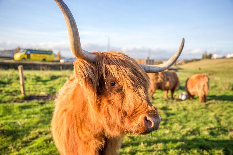From Edinburgh: Isle of Skye & The Highlands 3-Day Tour - Hostel life in Portree: who will feel comfortable here