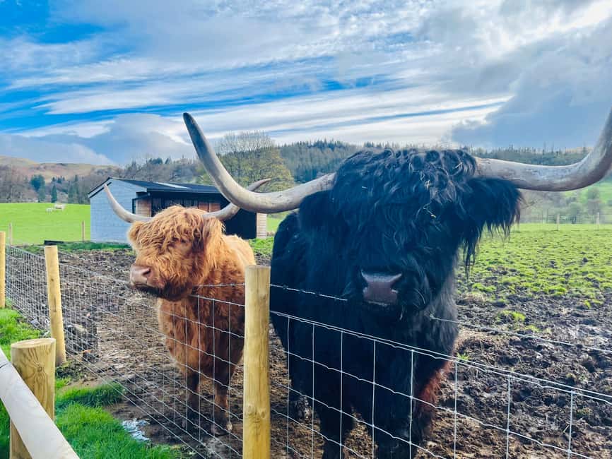 From Edinburgh: Loch Ness, Glencoe & The Highlands Day Trip - From Mary Queen of Scots to The Kelpies and Stirling Castle