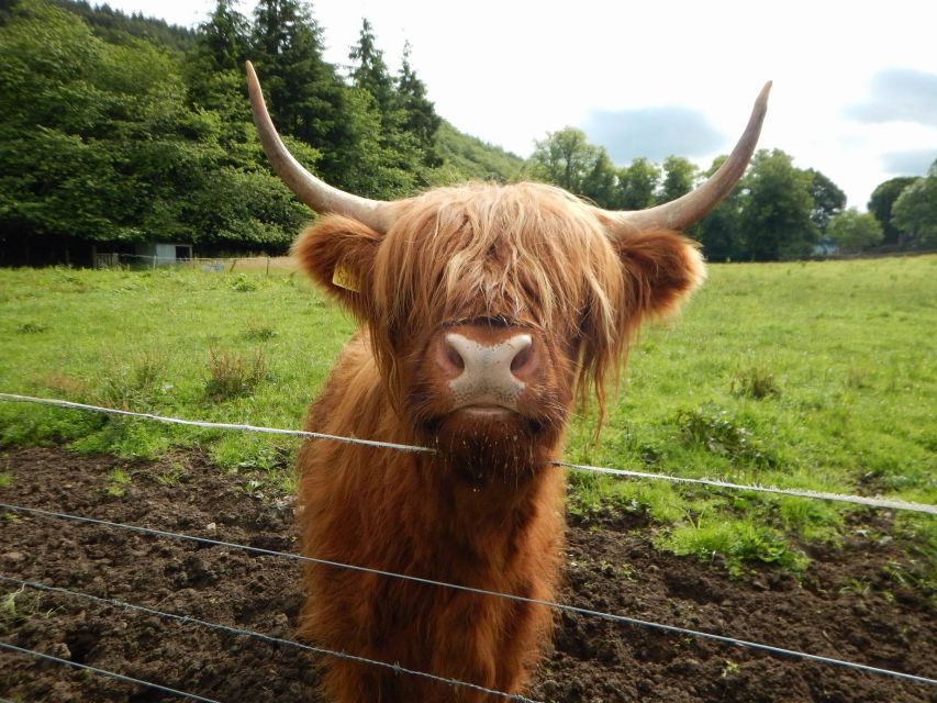 From Edinburgh: Scottish Highlands & Isle of Skye 5-Day Tour - Culloden, Cairngorm views, Pitlochry, and back to Edinburgh