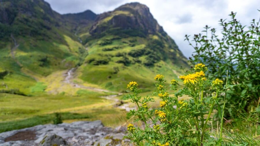 From Glasgow: Loch Ness, Glencoe and Scottish Highlands Trip - Loch Ness Visit: How To Make The Most Of 110 Minutes