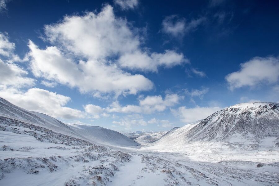 From Inverness: Cairngorms National Park and Whisky Tour - Key Highlights You’ll Actually Feel on This Day Trip