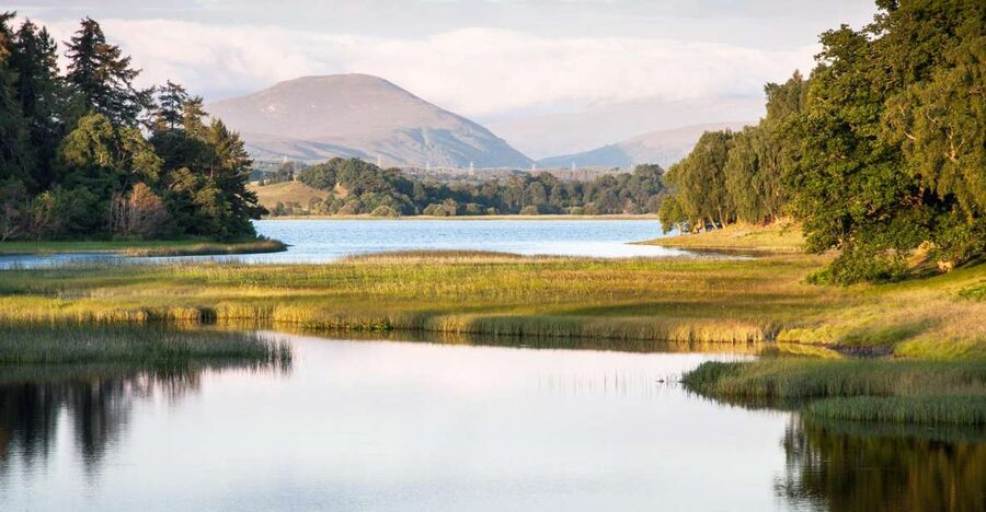 From Inverness: Cairngorms National Park and Whisky Tour - Glenmore Forest Park and Loch Morlich: Walking Optional, Beauty Included