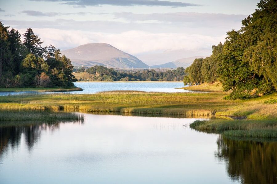 From Inverness: Cairngorms National Park and Whisky Tour - Carrbridge and the Old Packhorse Bridge Break: Stretch Your Legs the Right Way