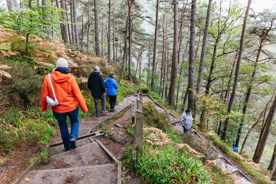 From Inverness: Loch Ness Guided Day Trip - Caledonian Canal Views, Then the Eastern Shore Break at Dores