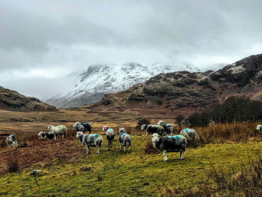 From Liverpool: Lake District Sightseeing Adventure Day Trip - Blea Tarn Walk: 45 Minutes of Real Outdoors