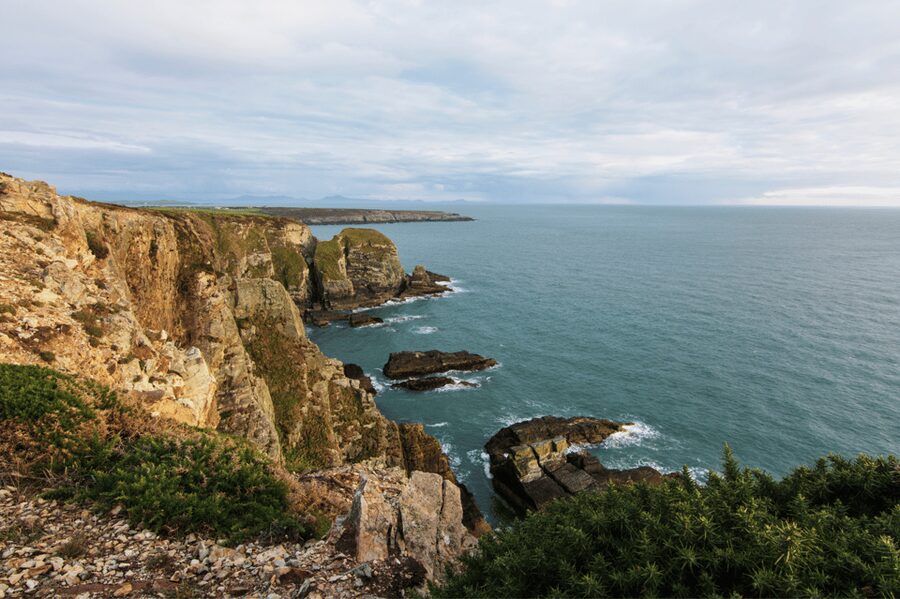From Liverpool: North Wales and Caernarfon Castle Tour - Conwy First: Why This Historic Seaside Stop Is Worth Your Legs
