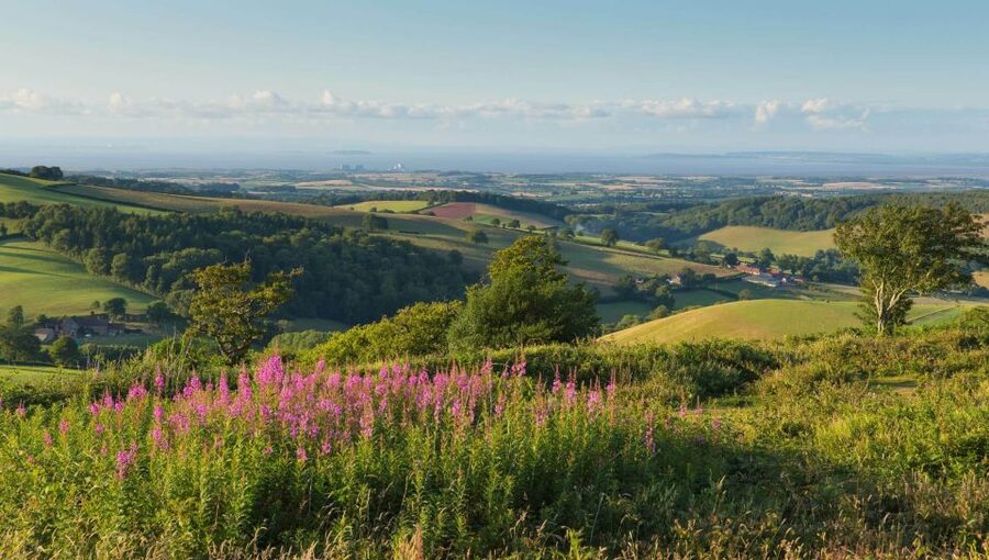 From London: Canterbury & White Cliffs of Dover Tour - Key highlights I think you will love