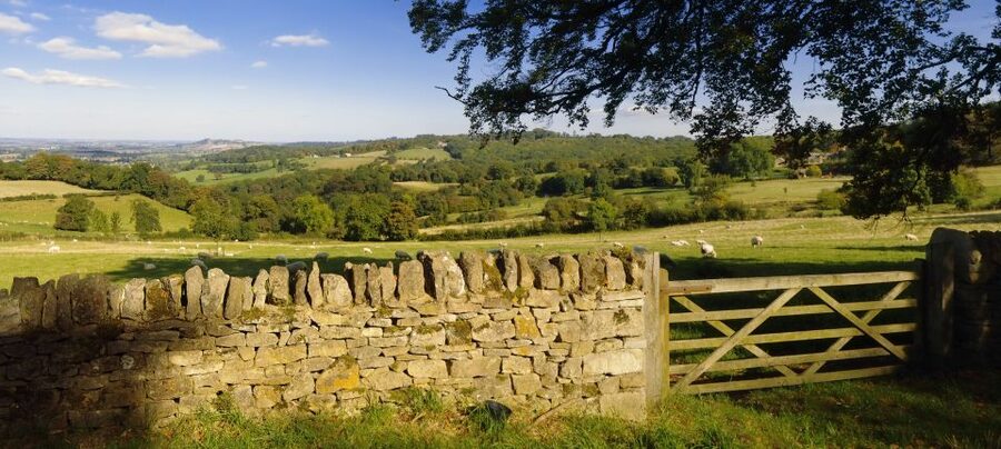 From London: Full-Day Cotswolds Small-Group Tour - Who should book this Cotswolds small-group tour, and who should skip it