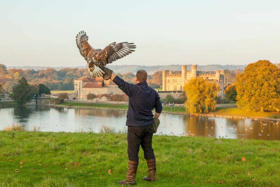 From London: Leeds Castle, Canterbury, Dover and Greenwich - Leeds Castle, from Henry VIII’s era to those postcard grounds