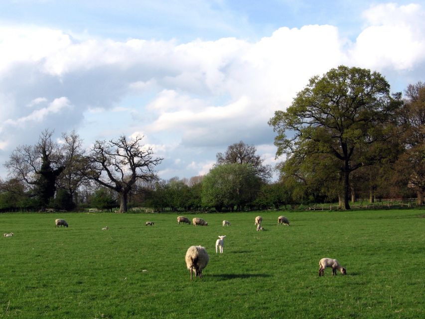 From London: Oxford, Stratford-upon-Avon & Cotswolds Trip - Who this London to Oxford Stratford and Cotswolds trip suits best