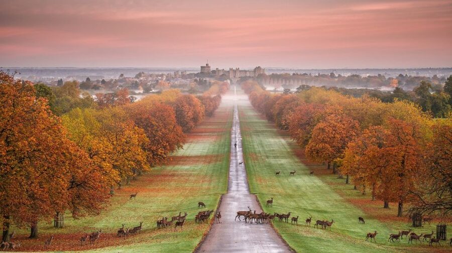From London: Stonehenge, Windsor and Salisbury Guided Tour - What the guides tend to do well, and why it matters