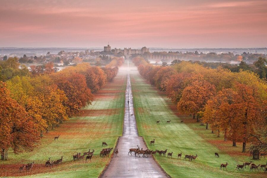 From London: Windsor Castle Afternoon Sightseeing Tour - Being unescorted: how to pace your Windsor Castle visit