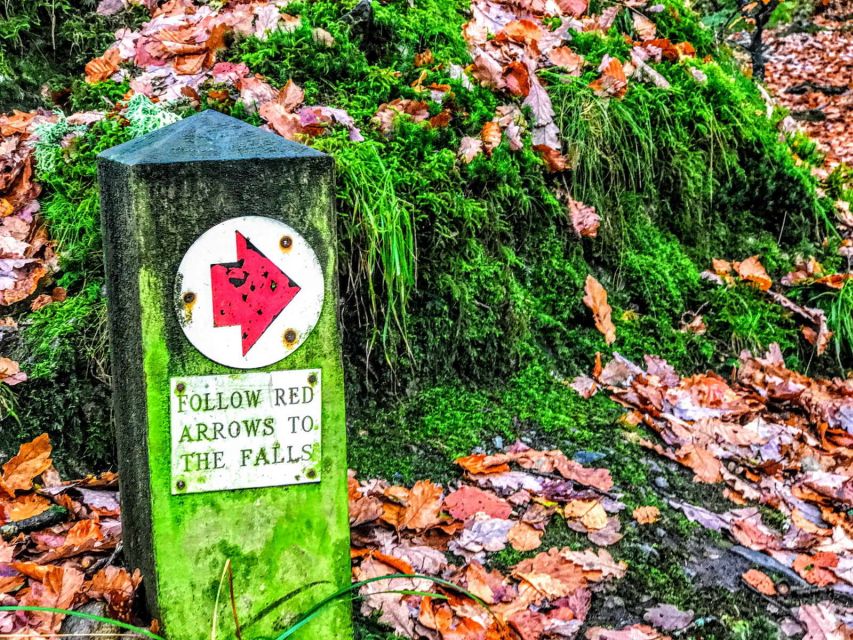 From Manchester: Lake District Sightseeing Day Trip - What the Guide Adds, Especially When You Get Lee or Adrian Energy