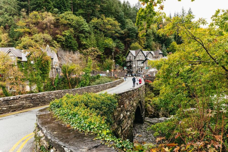 From Manchester: North Wales, Snowdonia, and Chester Tour - The Snowdonia Drive: Where the Road Becomes the Attraction