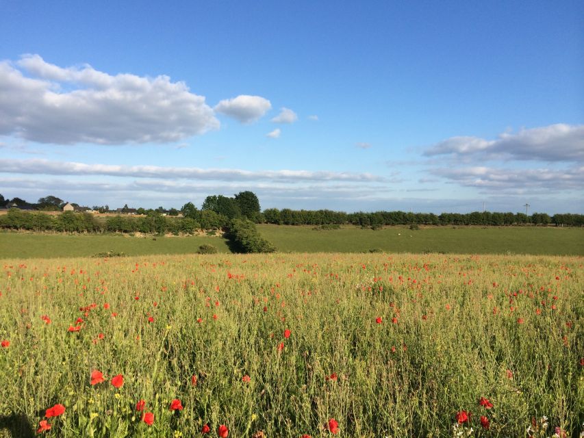 From Oxford: Cotswolds Towns and Villages Small Group Tour - Bourton-on-the-Water lunch, river views, and that postcard feeling