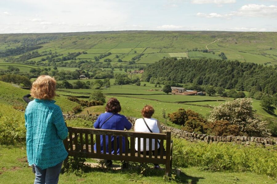From York: Day Trip to Whitby and The North York Moors - Lealholm stepping-stones over the River Esk