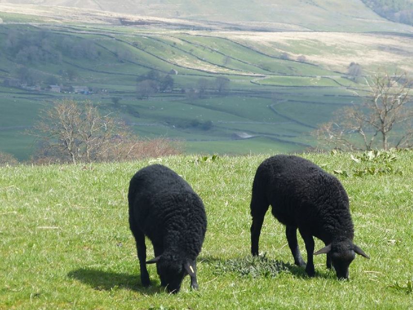 From York: Full-Day Yorkshire Dales Tour - From Dean Court Hotel to the Dales: how the day is set up