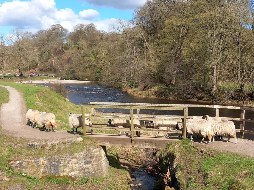 From York: Herriot and Yorkshire Dales Day Trip - Masham’s market town charm, plus the St Mary the Virgin cross shaft