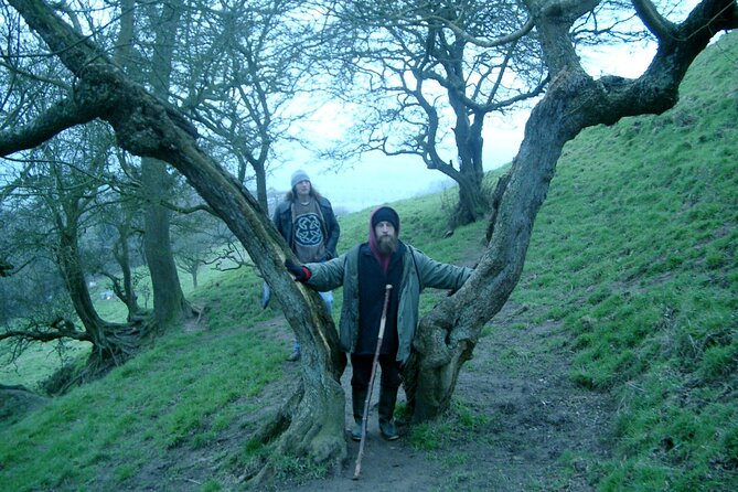 Full-Day Tour of Glastonbury - White Spring Well and the candle-lit water temple