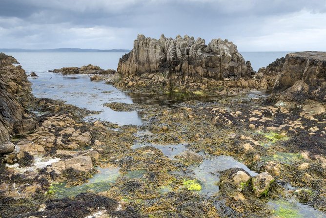 Game of Thrones and Giant's Causeway Full-Day Tour from Belfast - Meeting in Belfast and getting out of town without fuss