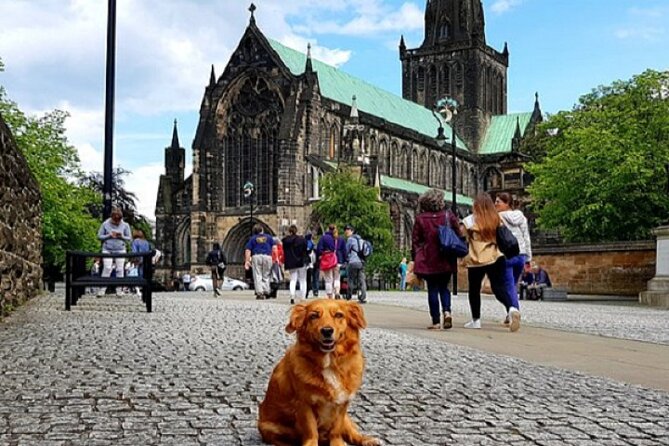 Gander Walking Tours in Glasgow - A Small-Group Mother Glasgow Walk That Actually Feels Like Glasgow