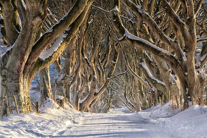 Giant's Causeway and more including Titanic Experience Ticket Tour from Belfast - Price and Value: Is About $90.28 a Good Deal?