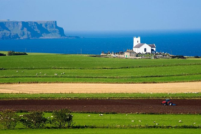 Giant's Causeway Full Day Tour from Belfast - Dunluce Castle Ruins: Cliff-Top Drama and a Full Hour to Explore