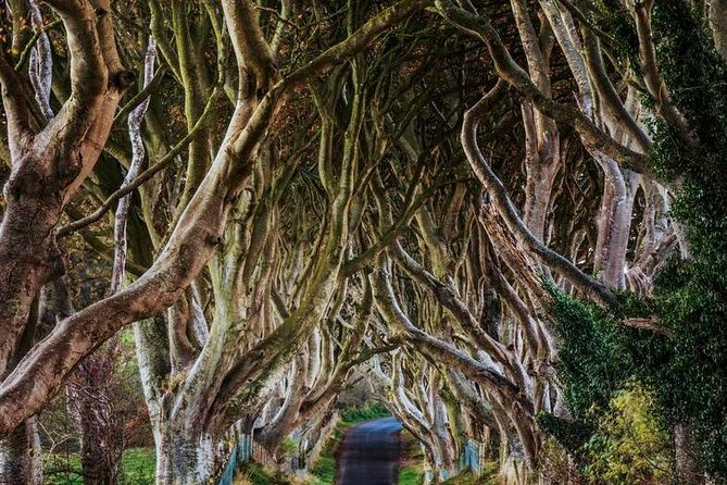 Giant's Causeway Full Day Tour from Belfast - Guides, Live Commentary, and What You Can Expect From the Personality