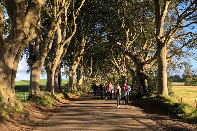 Giants Causeway, Rope Bridge, Carrickfergus Castle and Dark Hedges Tour - Bushmills Distillery: a short stop that works best for quick buys